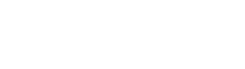 HAUS 99